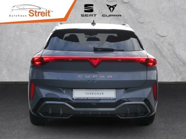 Cupra Terramar VZ 2.0 TSI DSG 265PS 4Drive Matrix HUD Akebono AD El. Panodach Navi