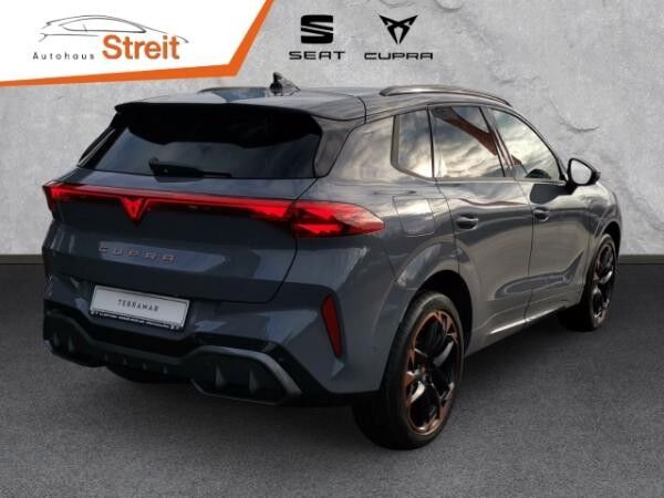 Cupra Terramar VZ 2.0 TSI DSG 265PS 4Drive Matrix HUD Akebono AD El. Panodach Navi