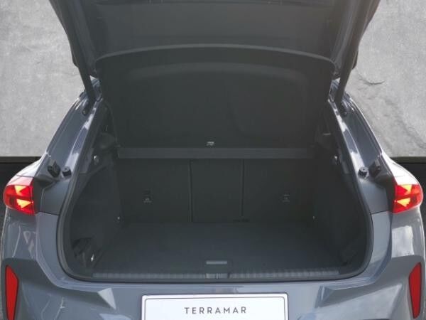 Cupra Terramar VZ 2.0 TSI DSG 265PS 4Drive Matrix HUD Akebono AD El. Panodach Navi
