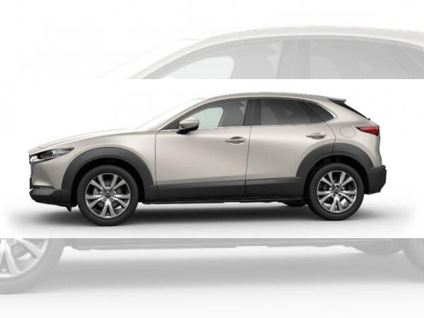 Mazda CX-30 5WGN 2.0L e-SKYACTIV X 186ps 6AT FWD Takumi BLOP