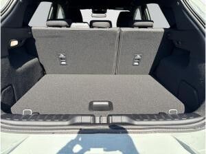 Ford Puma ST-Line 1.0 EcoBoost 360° Kamera +++ SOFORT VERFÜGBAR +++