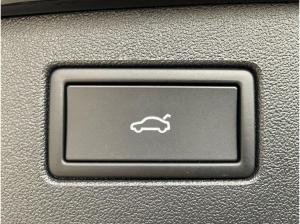 Volkswagen Tiguan R-Line 2.0 TSI 4MOTION DSG AHK Pano