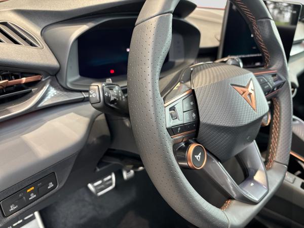 Cupra Terramar VZ 2.0TSI DSG *sofort verfügbar*