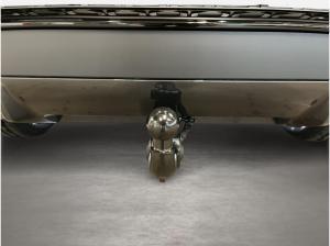 Audi SQ5 SUV TFSI S tronic Matrix 360 ACC AHK