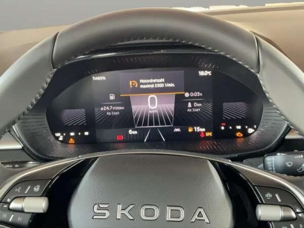 Skoda Fabia SELECTION, WinterPlus,Licht & Sicht, AHZV