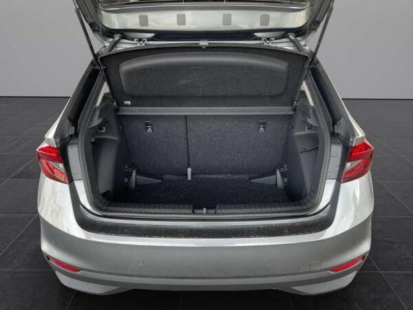 Skoda Fabia SELECTION, WinterPlus,Licht & Sicht, AHZV