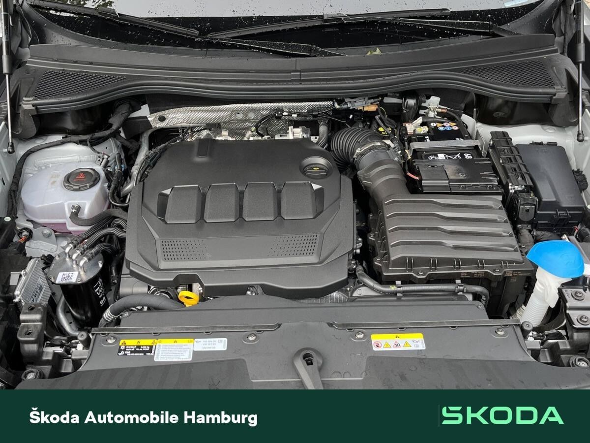 Skoda Kodiaq Sportline 2.0 TDI 4x4 PANO AHK HUD