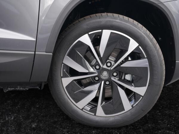 Skoda Karoq 1.5 TSI Selection NAVI ACC KAMERA LED AHK *846*
