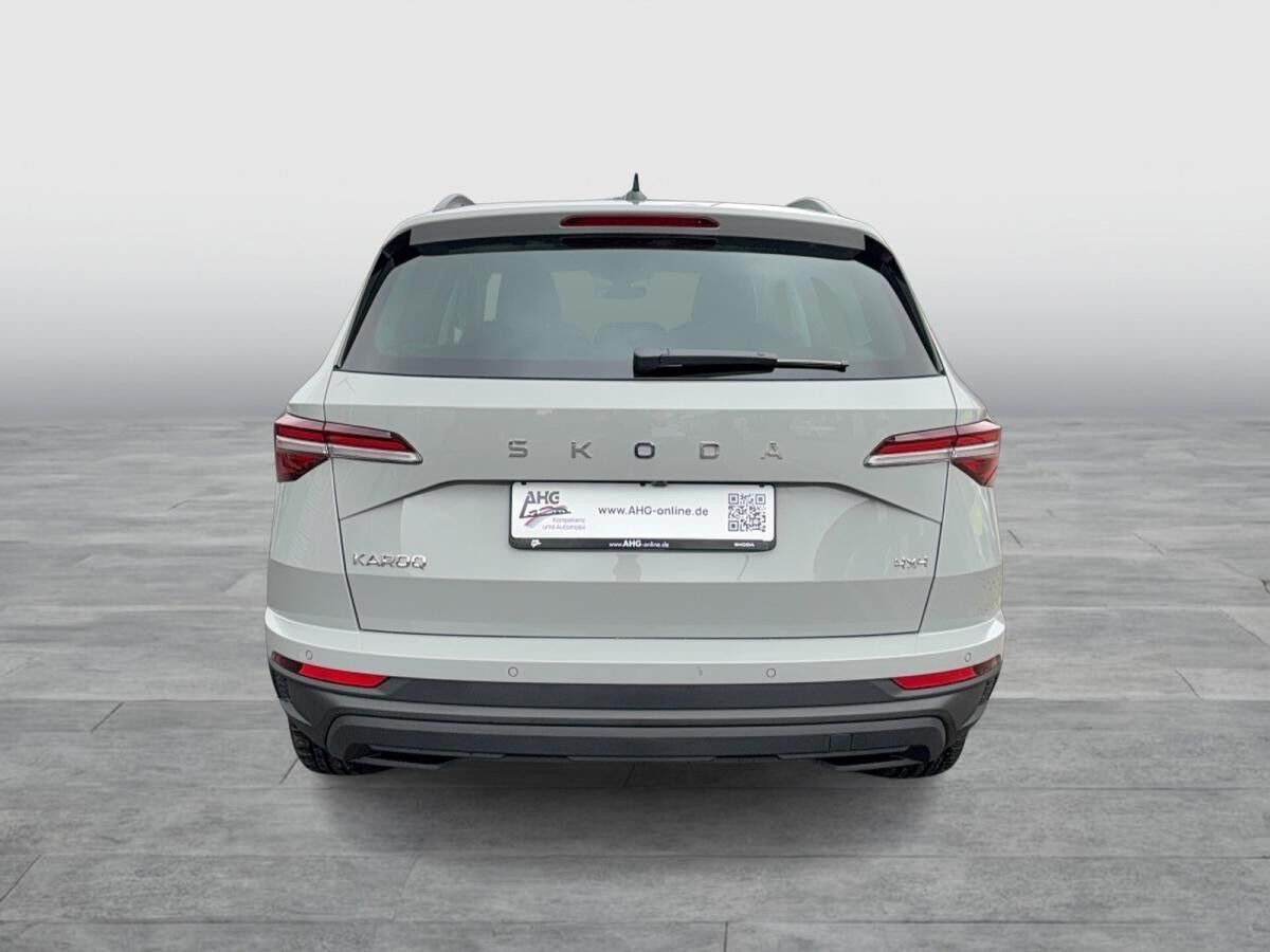 Skoda Karoq 2.0 TDI DSG 4x4 Tour AHK ❗️sofort verfügbar❗️