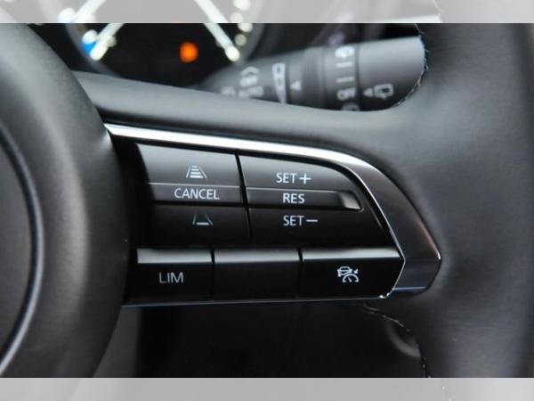 Mazda CX-30 2025 eSKYACTIV-G 2.5 140ps Aut. Homura SoMo