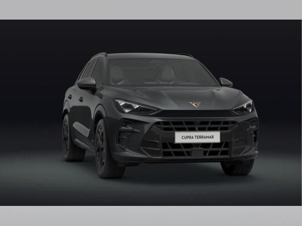 Cupra Terramar 1.5 eTSI 110 kW (150 PS) 7-Gang-DSG