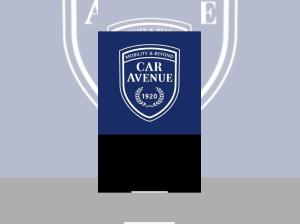 Renault Scenic Techno 220 Long Range  0,25%🔋- ❗️Hammerangebot❗️