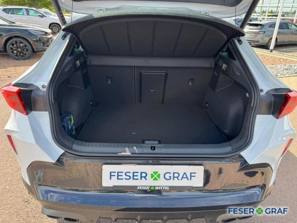 Cupra Formentor VZ 2.0 TSI Black Edition AHK/Pano/360°