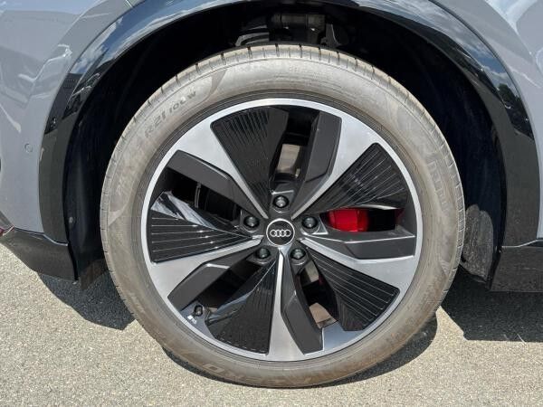 Audi Q6 e-tron performance Matrix Pano B&O AHK