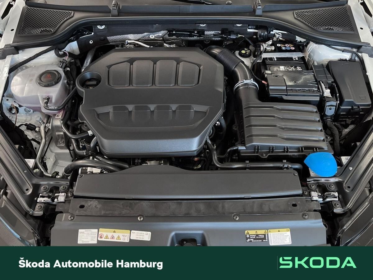 Skoda Octavia Combi RS 2,0 TSI AHK PANO STANDHZG AREA VIEW