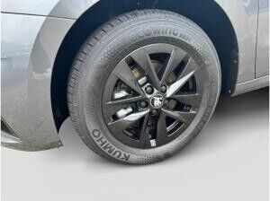 Skoda Fabia Selection 1,0 TSI DSG Infotainment Winter