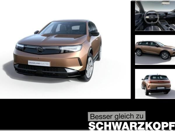 Opel Grandland Electric Edition h Batterie **Gewerbehammer**