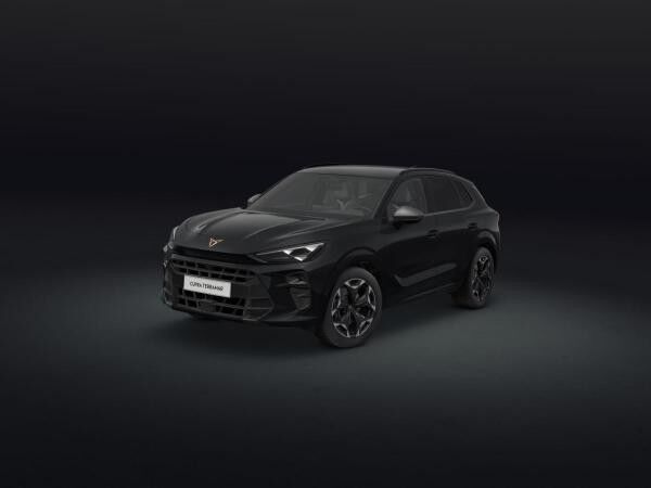 Cupra Terramar (KP1)