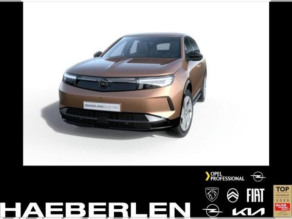 Opel Grandland Electric Edition h Batterie **Gewerbehammer**