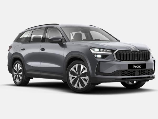 Skoda Kodiaq 1.5 TSI mHEV Selection AHK Leder Matrix