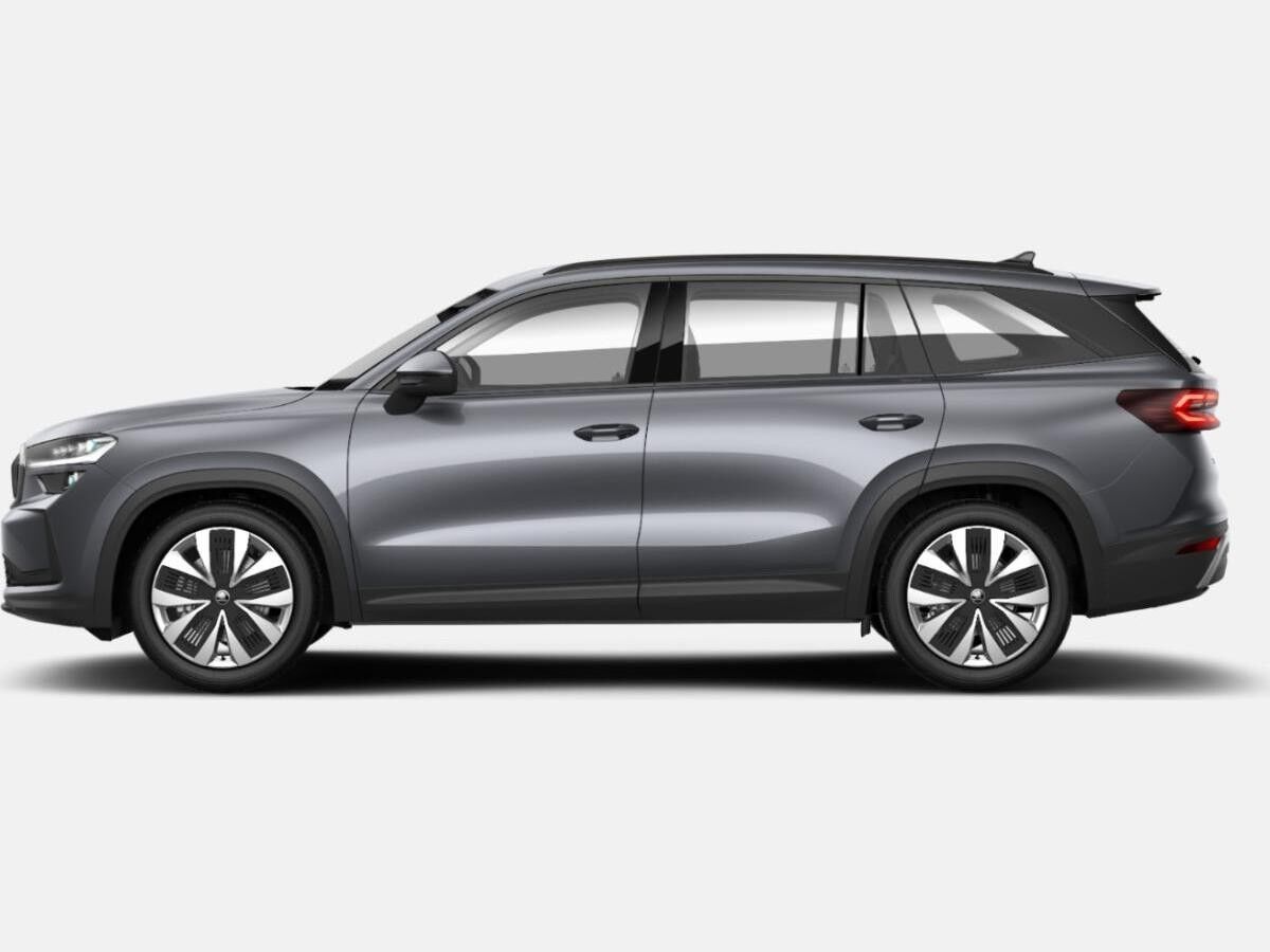 Skoda Kodiaq 1.5 TSI mHEV Selection AHK Leder Matrix