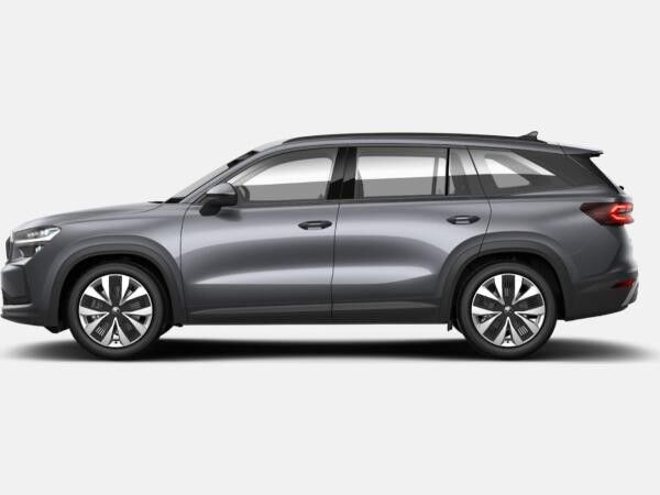 Skoda Kodiaq 1.5 TSI mHEV Selection AHK Leder Matrix