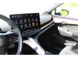 Cupra Tavascan 77kWh Endurance NAVI LED WÄRMEP. KAMERA_SHZ GRA 19