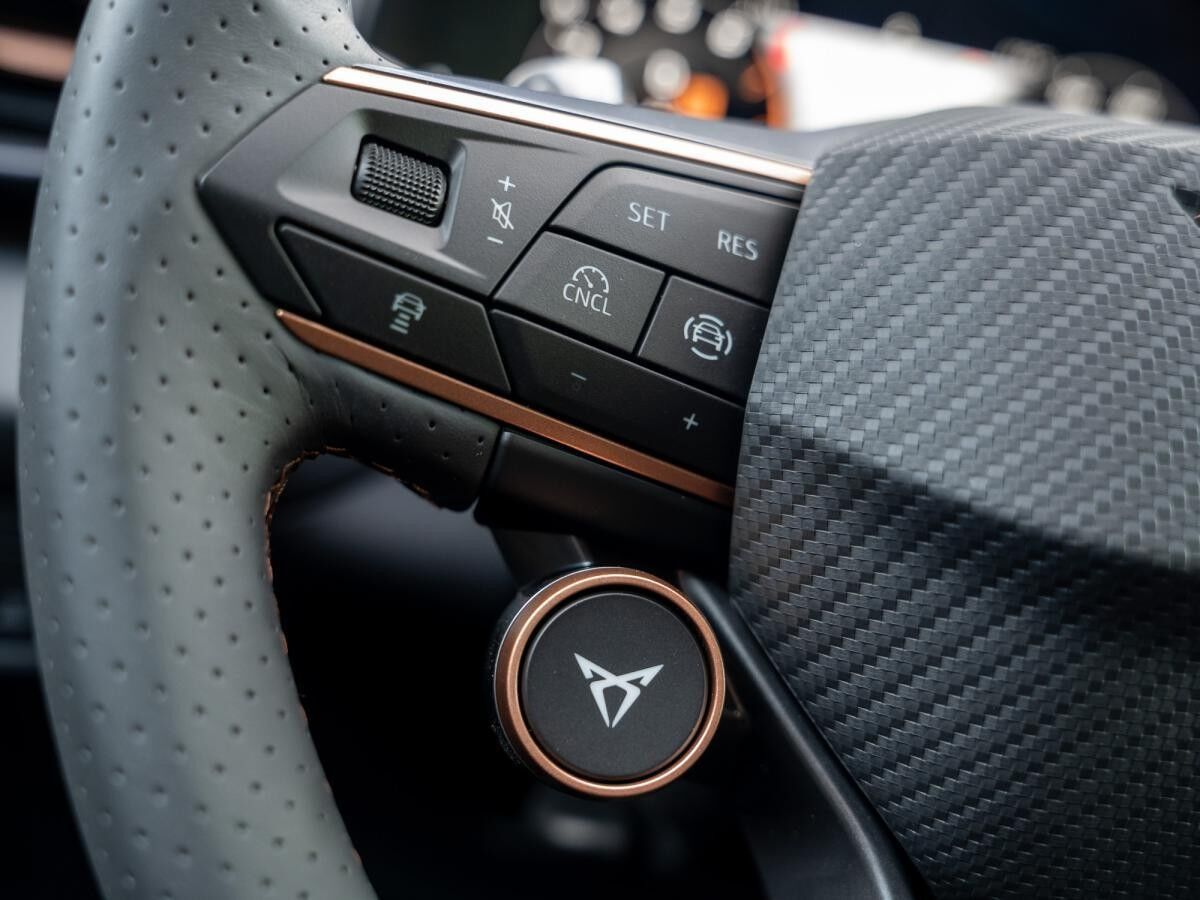 Cupra Terramar 2.0 TSI 150 kW (204 PS) 7-Gang DSG 4Drive