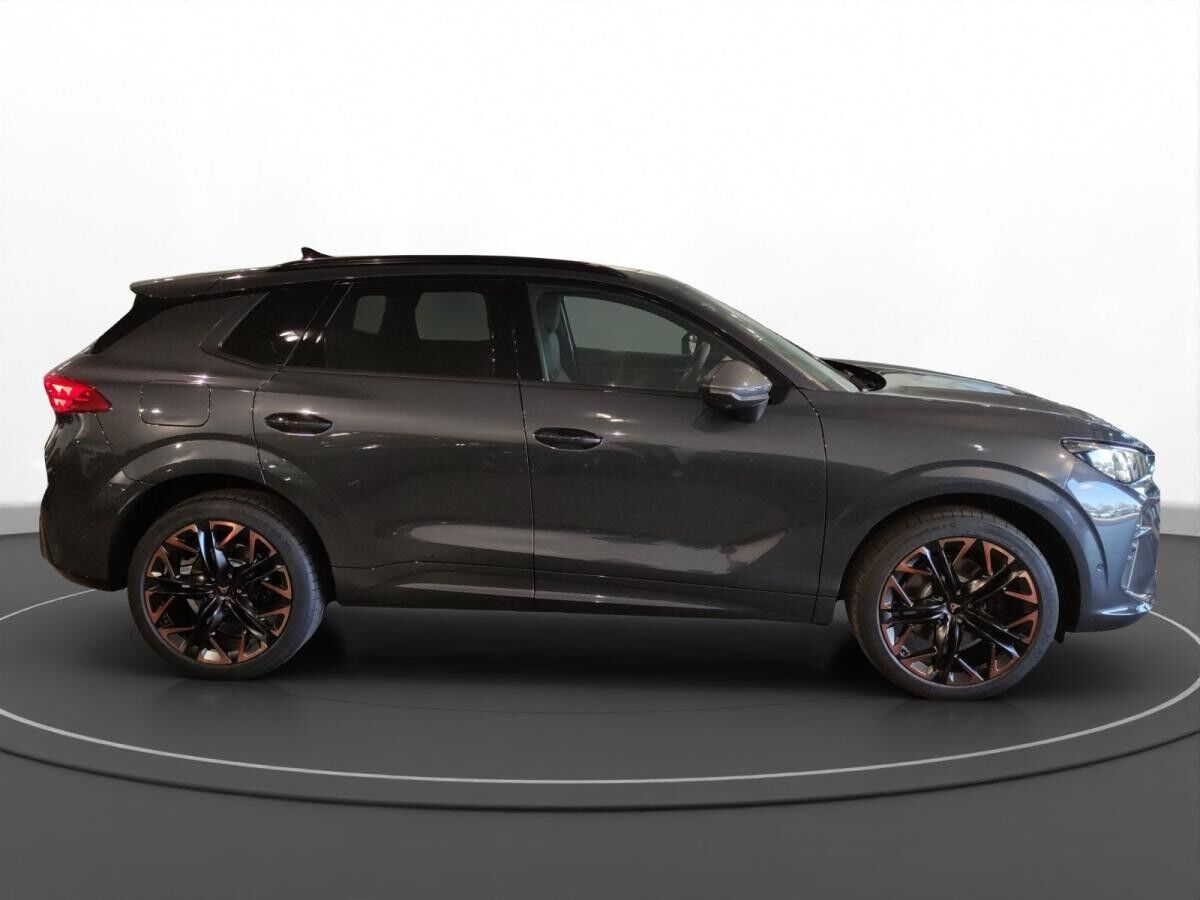 Cupra Terramar 2.0 TSI DSG VZ 4Drive Sennheiser AHK Matrix