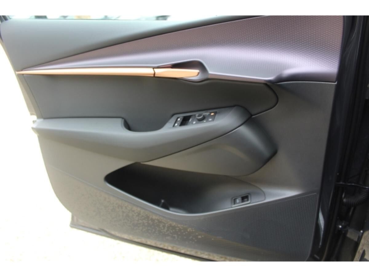 Cupra Tavascan 77kWh Endurance NAVI LED WÄRMEP. KAMERA SHZ GRA 19