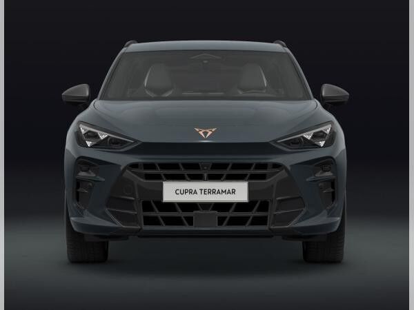 Cupra Terramar e-HYBRID 272PS VZ AHK|Sennhsr|Matrix|HUD