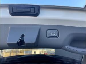 Kia EV3 81.4 EARTH WIC/BUS/UPG/DWP