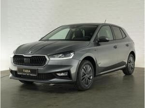 Skoda Fabia Tour 1.0 TSI DSG 🍂NOVEMBER-SONDERAKTION🍂 - DSG+WINTER-PAKET+LED SCHEINWERFER