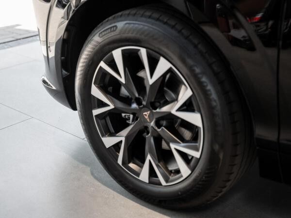 Cupra Terramar 1.5 eTSI 110 kW 150 PS 7-Gang DSG