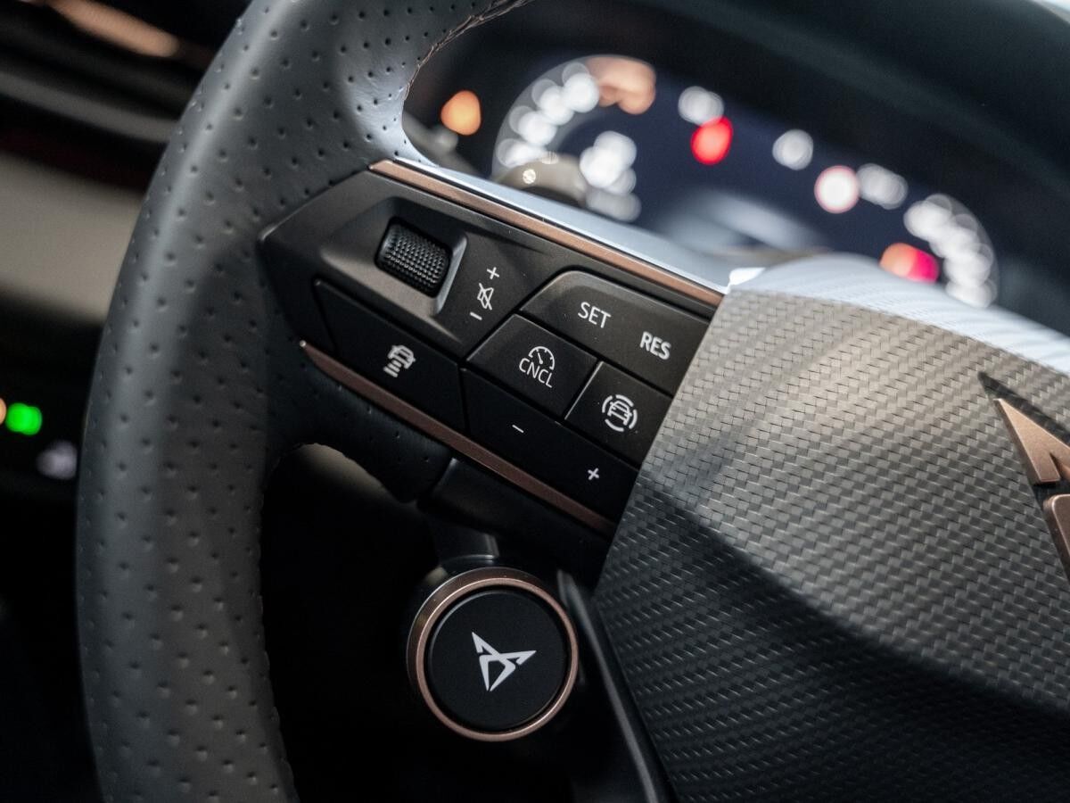 Cupra Terramar 1.5 eTSI 110 kW 150 PS 7-Gang DSG