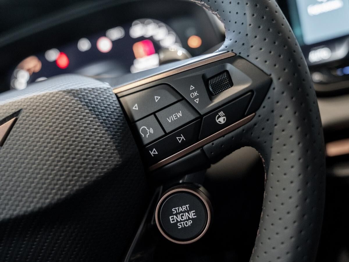 Cupra Terramar 1.5 eTSI 110 kW 150 PS 7-Gang DSG