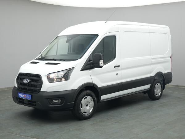 Ford Transit Kasten 350 L2H2 Trend /AHK