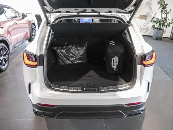 Lexus NX 350h Luxury AWD inkl. Panorama-Glasdach