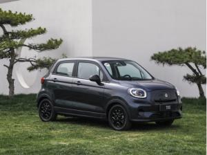 Leapmotor T03 |Panorama Glasdach|Rückfahrkamera|