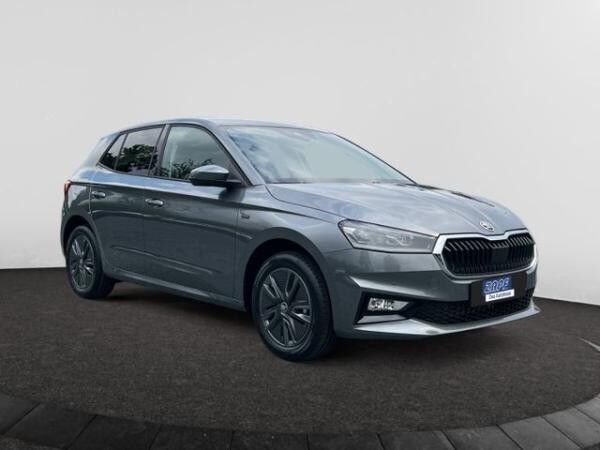 Skoda Fabia Tour 1.0TSI 95 PS – Winter+ • Kamera – sofort verfügbar ! ✨✅