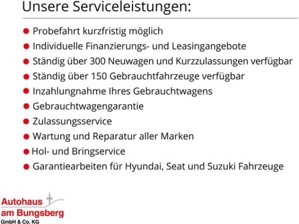 Hyundai Tucson 1.6 T-GDI N-LINE Assistenz-Paket, Panoramadach