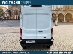 Ford Transit Kasten (TTS)