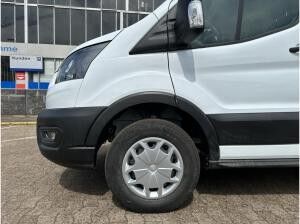Ford Transit Kasten (TTS)