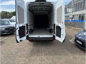 Ford Transit Kasten (TTS)