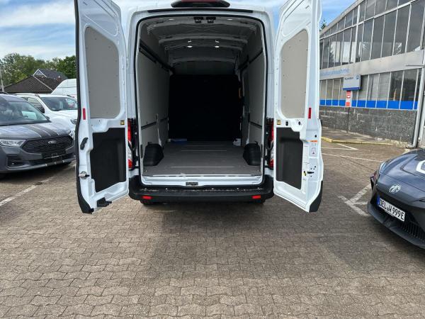 Ford Transit Kasten (TTS)