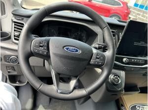 Ford Transit Kasten (TTS)