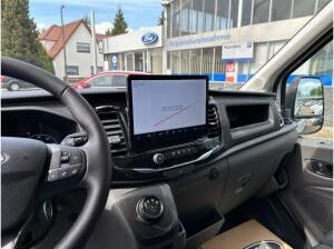 Ford Transit Kasten (TTS)