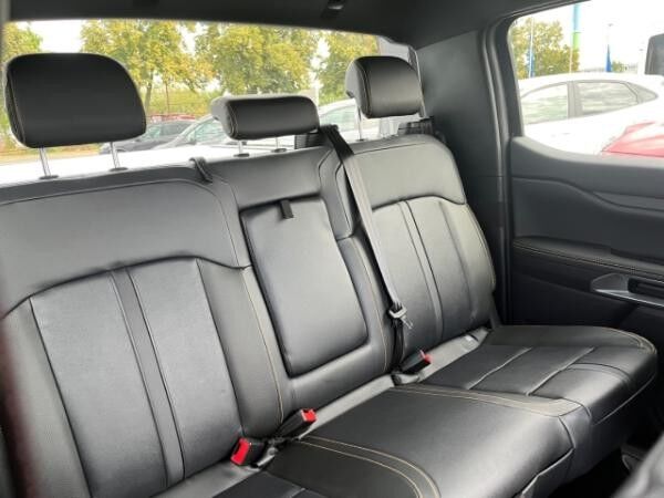 Ford Ranger PHEV e-4WD Wildtrak el.Lader.-Rollo Ladungsicherungspak. Techno-Paket 46 Unterbodenschutz