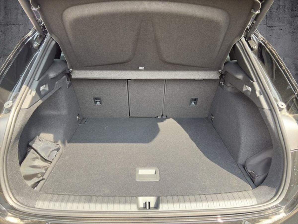 Cupra Terramar VZ 2.0 TSI 4Drive DSG 20 PANO | HD-MATRIX | TOP VIEW | SENNHEISER | INTELLIGENT DRIVE