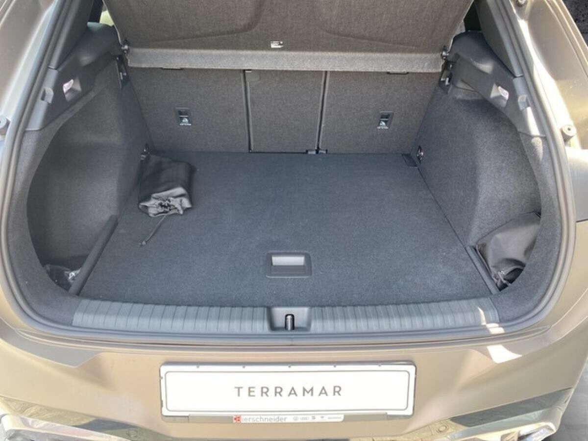 Cupra Terramar VZ 2.0 TSI 4Drive DSG 20 STANDH. | PANO | AHK | HD-MATRIX | SENNHEISER